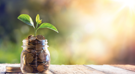 Coins in a jar with a plant growing