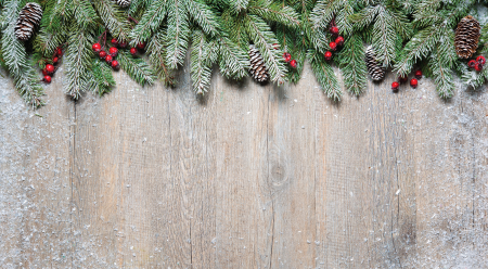 Christmas pine on white flakes