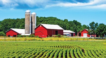 farm field and farm house on sunny day