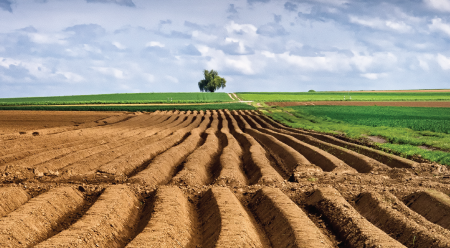 tilled field on sunny day